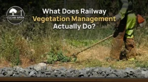 What Does Rail Vegetation Management Actually Do?